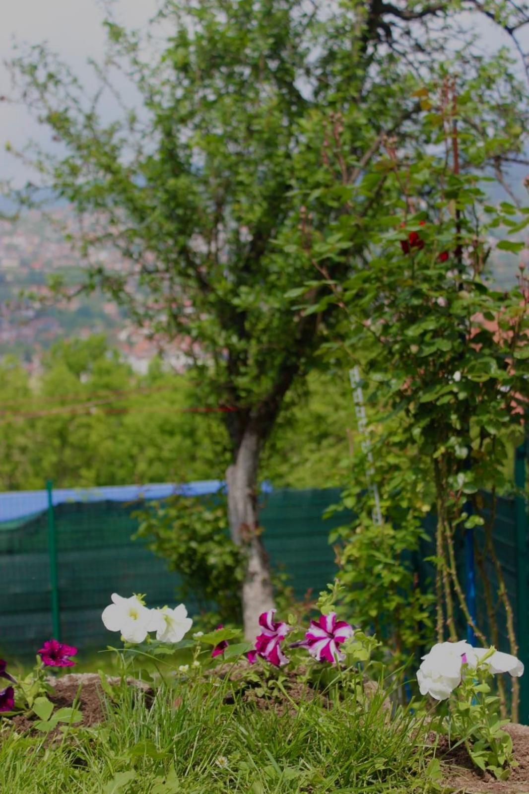 Villa Vista Sarajevo Old Town Extérieur photo